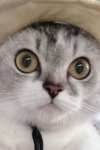 Ziying wu 開蘭行旅優惠