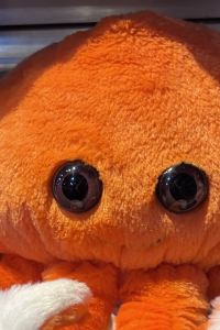 Lillly 曼谷卡瑟特納瓦閔利沃特爾飯店優惠