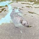 小琉球小郭教練