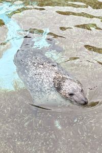 小琉球小郭教練 Y飯店-旭川站前優惠