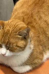 Allan Poe 遇見太空膠囊飯店@阿拉伯街優惠