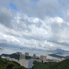 旅行小鳥