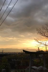 Nana818 香港麗豪酒店優惠