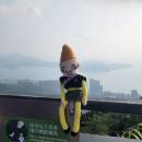 翠絲豬