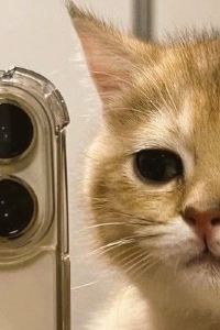 닝이 호메르스 호텔 쿠폰