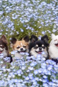 นกแสก 成都秋瑾民宿（太古裡店）優惠