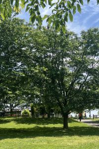 kanae11994 車山高原スカイパークホテル クーポン