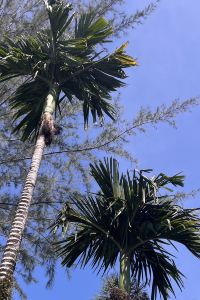 Bigroll 都市大阪天王寺酒店優惠