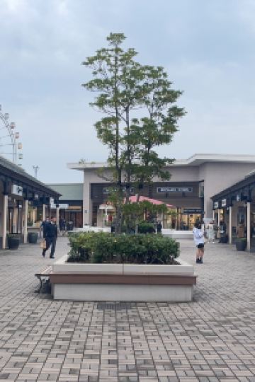 Pazukiyohara 海石榴 (つばき) クーポン