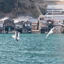 訪客用戶