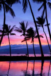 ゲスト ホテルクラウンパレス北九州 クーポン