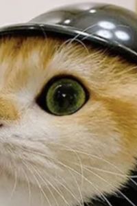 AndrePhilippYT 考山路當德姆飯店優惠