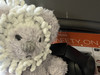 travelswithleroy