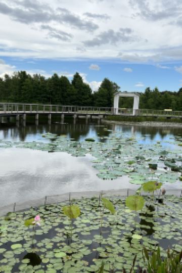 Joi.leung 珠海萬悦酒店優惠