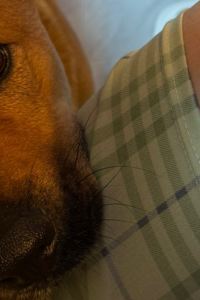 Emilyhehe 斯考飯店優惠