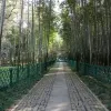 Avatar 3