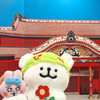 carcar 之旅
