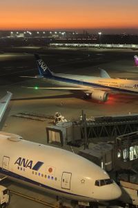 wing4323 星展優惠