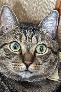 ゲスト ホテルリブマックスBUDGET群馬沼田 クーポン