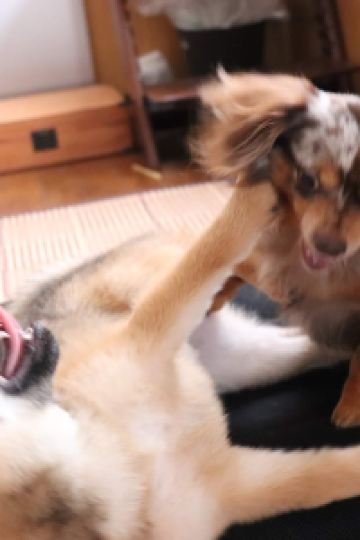 ゲスト 白浜館 クーポン