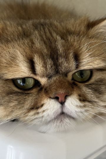 ゲスト JR西日本グループ ヴィアイン飯田橋後楽園 クーポン