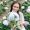 Manita_TH