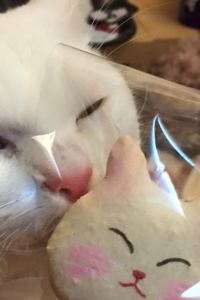 咪醬魚 F-商旅（台東知本館）優惠