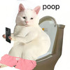 Pikybb