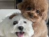 Myjourney.com