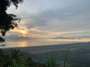 Andrew Ong phui teik