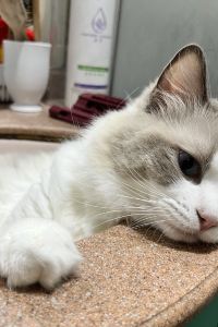 敏敏、 愛之星汽車旅館優惠