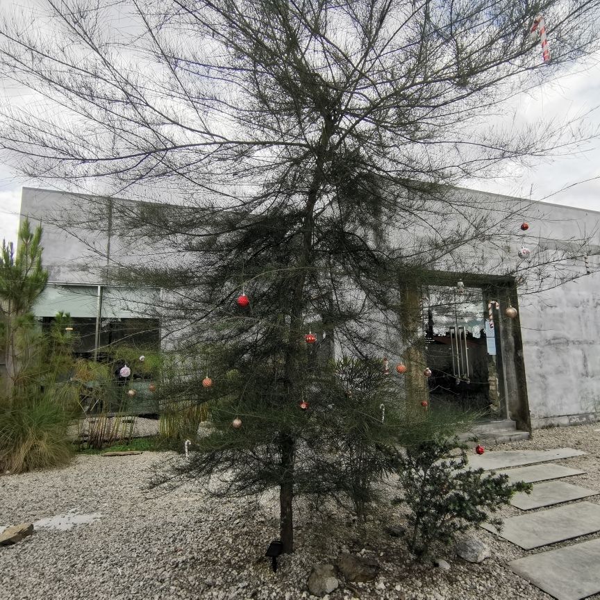 CarterTravelTheWorld