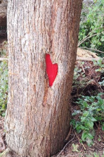 Ms.Ms 夢海游 淡路島 クーポン