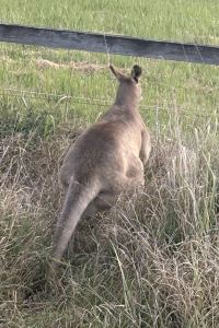 chi-i 德爾切洛陽台酒店優惠