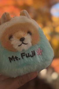 แมวแมวสีขาว 新宿格蘭貝爾飯店優惠