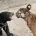東莞香市動物園