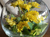 _fb***28