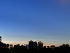 香港的y