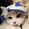 Avatar 1