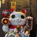 旅人阿龍