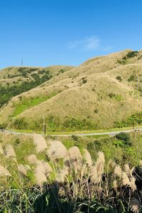 YUKA WANG 北寧曼德拉水療酒店優惠