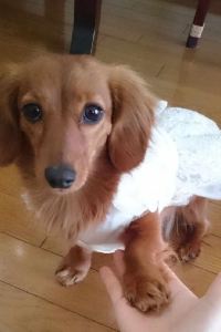 ゲスト 東横INN京浜東北線王子駅北口 クーポン