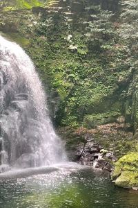 ばろ 伊賀上野シティホテル クーポン