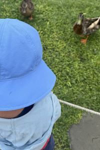 訪客用戶 台北怡品商旅優惠