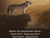 EmreTunga