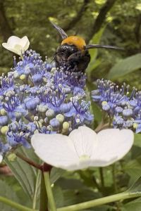 ゲスト ホテルミュースタイル犬山エクスペリエンス クーポン