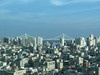 모도
