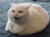 여행맛좀보자