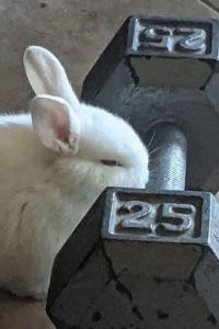 TravelWithTyler 宜必思清邁寧曼街旅遊中心飯店優惠