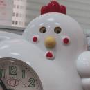 太陽底下努力搬磚的琪琪拉